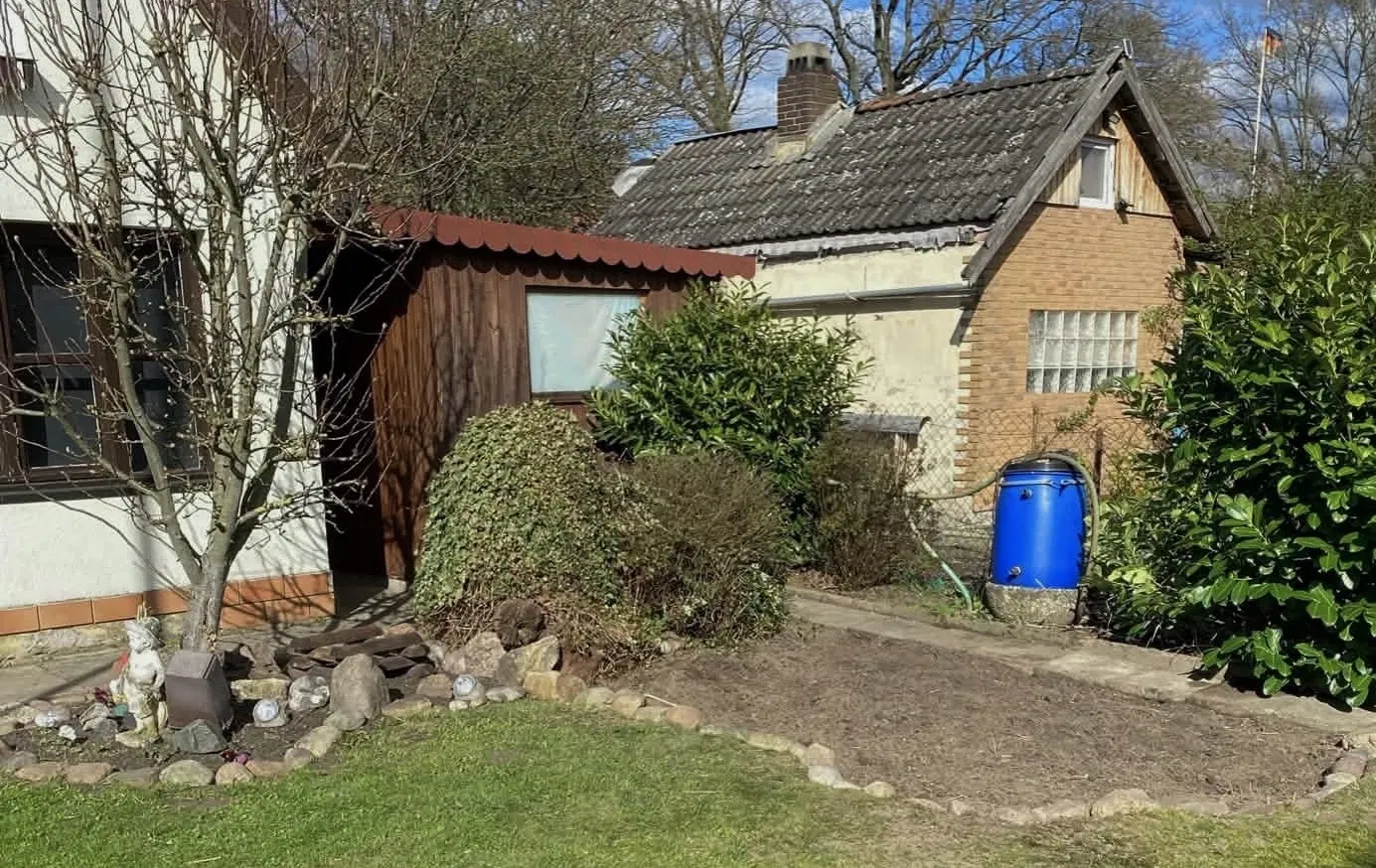 Beetgestaltung vorher Hannover – zugewachsenes Beet im Schrebergarten