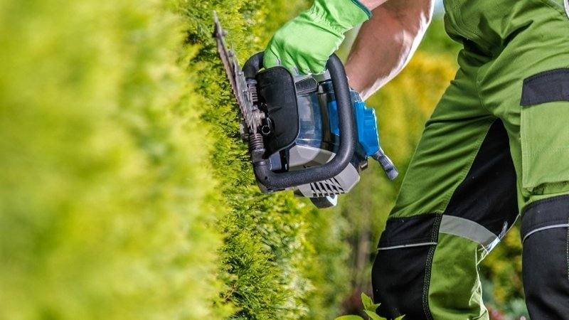 Gartenpflege Hannover – Rasenmähen, Heckenschnitt und Formschnitt