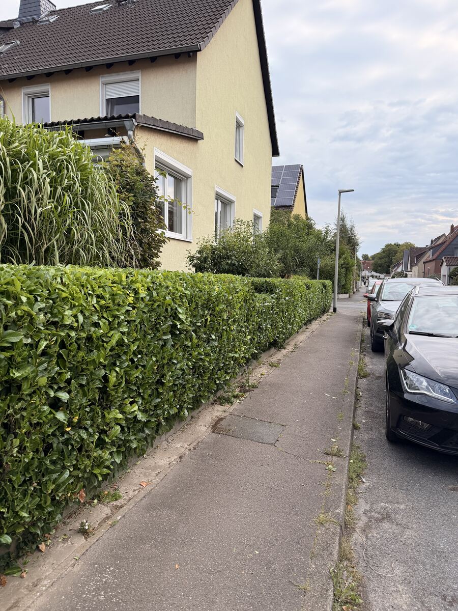 Gartenpflege Heckenschnitt Hannover nachher – gerade geschnittene Kirschlorbeerhecke an der Straße