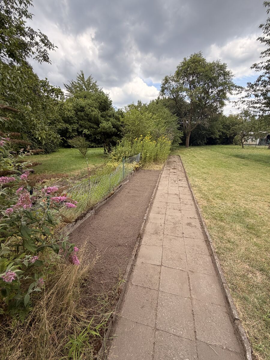 Freigeschnittener, gepflegter Gartenweg in Hannover nach der Gartensanierung