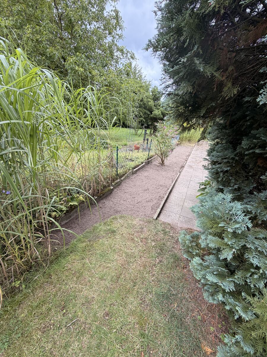 Gartenweg Hannover nachher – freier Weg nach Rückschnitt des Ziergrases