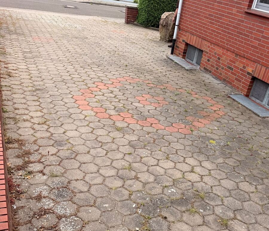 Zugewachsene, vermooste Hofeinfahrt vor der Reinigung