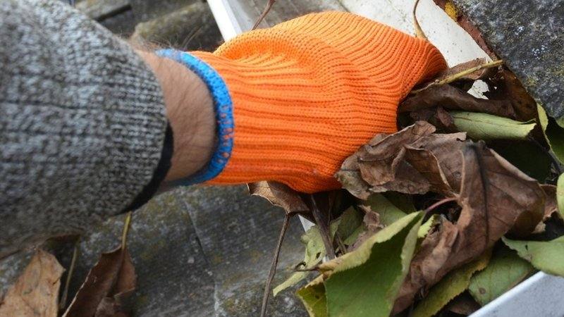 Dachrinnenreinigung Hannover – Laub und Schmutz professionell entfernt