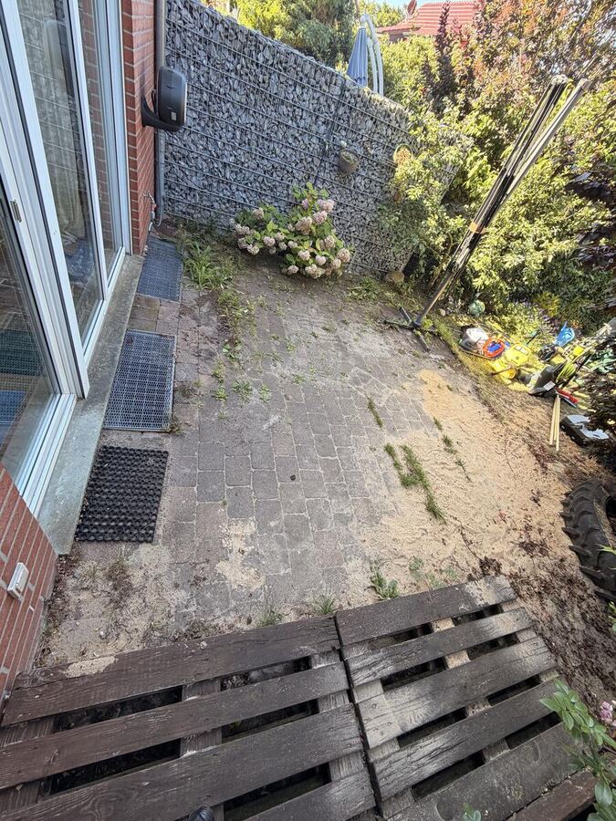 Terrassenpflaster mit Unkraut in den Fugen vor der Reinigung in Hannover